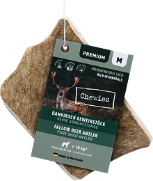 Chewies Geweih - Fallow Deer Antler - M
