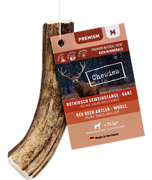 Chewies Geweih - Deer Antler - M