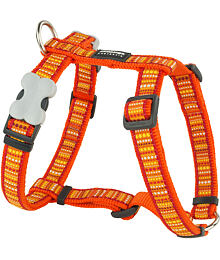 Dog Harness 25 mm x 71-113 cm - Lotzadotz Orange