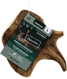Chewies Geweih - Fallow Deer Antler - L