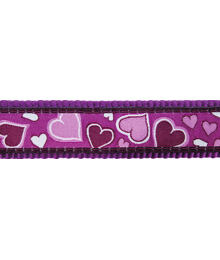 Multipurpose Dog Lead 15 mm x 2 m- Breezy L.Purple