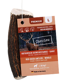 Chewies Geweih - Deer Antler - L