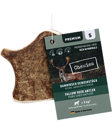 Chewies Geweih - Fallow Deer Antler - S