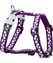 Dog Harness 25 mm x 71-113cm-White Spots on Purple