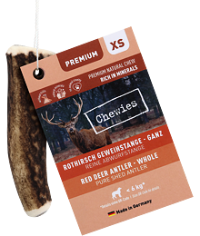Chewies Geweih - Deer Antler - XS