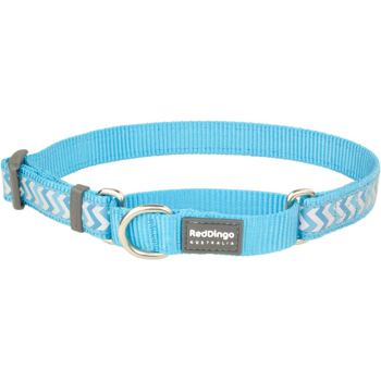 Martingale Collar 20 mm – Reflect. Ziggy Turquoise