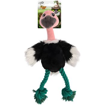 AFP Safari Jungle Ostrich