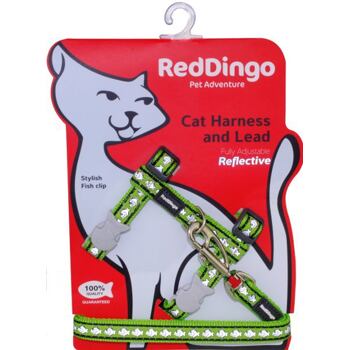 Cat Harnees & Lead - Reflective Fish Lime