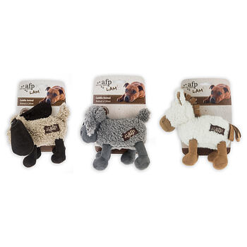 AFP Lam Cuddle Animals
