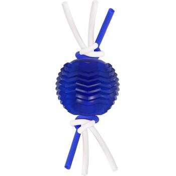 Barevný balonek ke žvýkání pro zábavnou dentální hygienu. Velikost 6,5 cm. Barevná varianta dle aktuální nabídky.