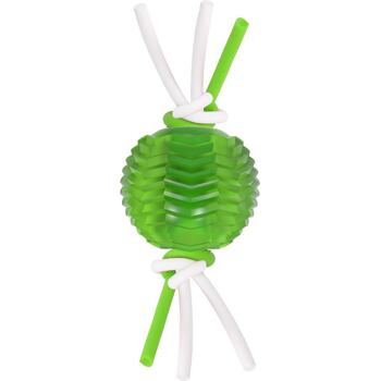 Barevný balonek ke žvýkání pro zábavnou dentální hygienu. Velikost 6,5 cm. Barevná varianta dle aktuální nabídky.
