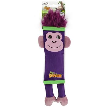 AFP Safari Firehose Monkey