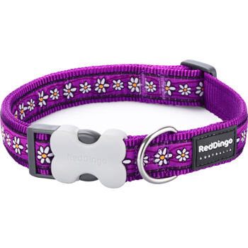 Dog Collar 25 mm x 41-63 cm – Daisy Chain Purple