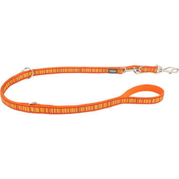 Multi Dog Lead 15 mm x 2 m - Lotzadotz Orange