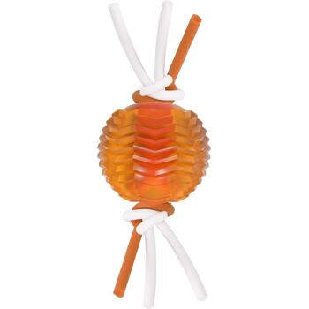 Barevný balonek ke žvýkání pro zábavnou dentální hygienu. Velikost 6,5 cm. Barevná varianta dle aktuální nabídky.