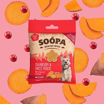 Přírodní veganské kousky s brusinkami a batáty jsou hypoalergenní pamlsky, které jsou ideální na trénink nebo jako malá zdravá svačinka, nejen pro psy s citlivým zažíváním.