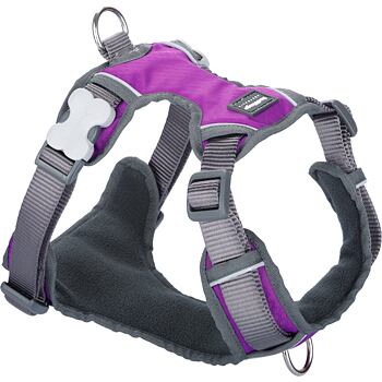 Padded Dog Harness S - 37-52 cm – Purple