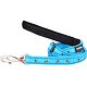Dog Lead RD 20 mm x 1.8 m - Bumble Bee Turquoise