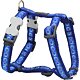 Dog Harness 15 mm x 36-54 cm - Cosmos Blue Dog Harness 15 mm x 36-54 cm - Cosmos Blue