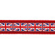 Multipurpose Dog Lead 20 mm x 2 m- Union Jack Flag