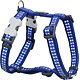 Dog Harness 25 mm x 56-80cm – Refl.Bones Dark Blue