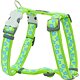 Dog Harness 25 mm x 71-113 cm - Stars Turquoise Dog Harness 25 mm x 71-113 cm - Stars Turquoise