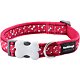 Red Dingo obojek – Flying Bones Red – 12 mm x 20-32 cm