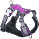 Padded Dog Harness L - 56-80 cm – Purple